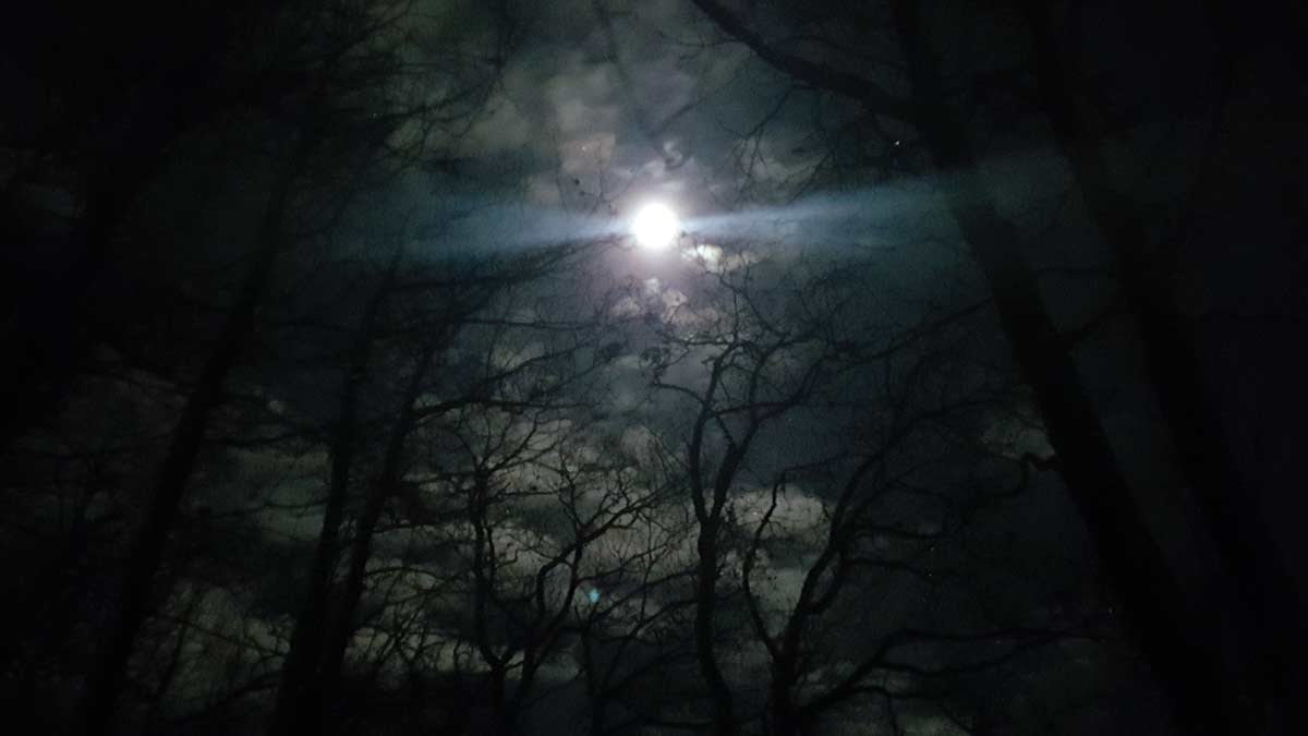 Das Licht in der Finsternis: Vollmond über meinem Schlafplatz Der Vollmond scheint hell durch die Äste eines dunklen Winterwaldes in der Nacht. Symbolbild für Hoffnung und das Licht in den Raunächten für Hochsensible.