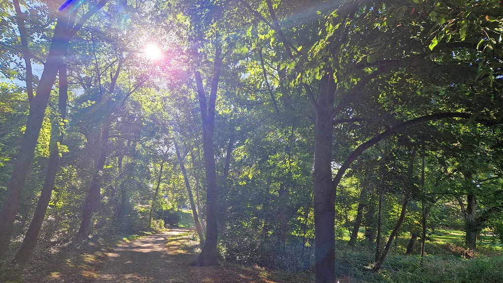 der Weg ins Licht Waldweg mit Sonnenstrahlen – der Heldenweg für hochsensible
Menschen ins Licht