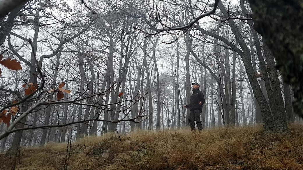 Neurogenes Zittern im Wald: Alte Lasten abschütteln Ein Mann steht im dunklen Winterwald und praktiziert neurogenes Zittern (Schütteltrance), um Stress abzubauen. Seine Haltung zeigt Hingabe und Loslassen.