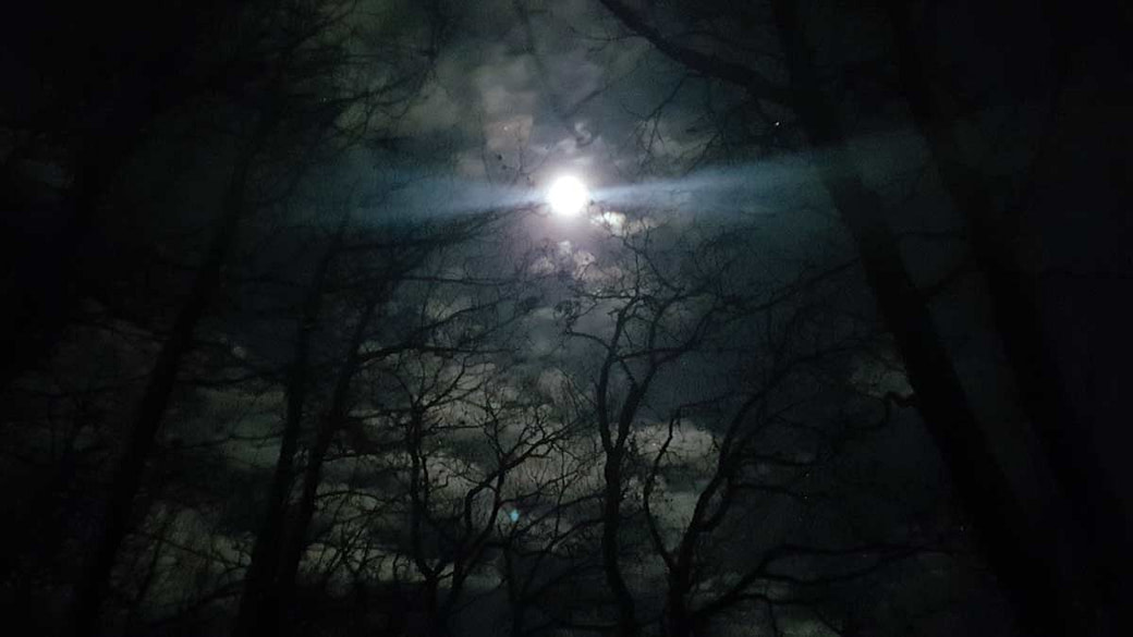 Das Licht in der Finsternis: Vollmond über meinem Schlafplatz Der Vollmond scheint hell durch die Äste eines dunklen Winterwaldes in der Nacht. Symbolbild für Hoffnung und das Licht in den Raunächten für Hochsensible.