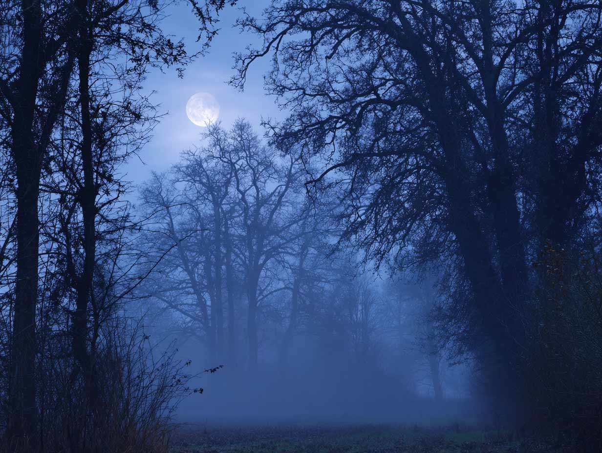Mystischer Nachtwald mit Vollmond im blauen Nebel, Symbol für den Zauber bei Lord Dunsany und die Rede der Mutter Hexe