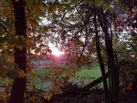 Hochsensible-trauern