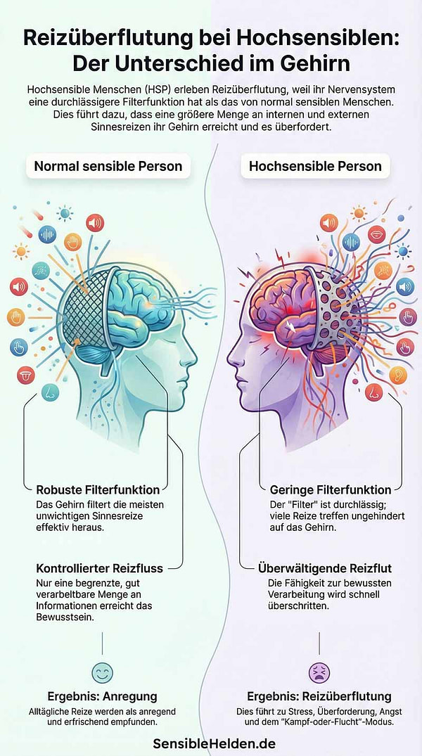 Reizüberflutung bei Hochsensiblen: Der Unterschied im Gehirn Reizüberflutung bei Hochsensiblen: Der Unterschied im Gehirn zwischen normal sensiblen und hochsensiblen Personen. Robuste vs. geringe Filterfunktion führt zu kontrolliertem Reizfluss oder überwältigender Reizflut.